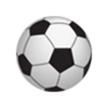 益阳队